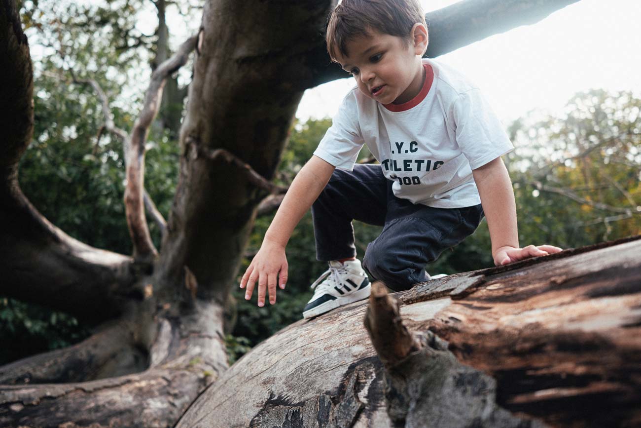 Boy climbing tree Darley Park Derby